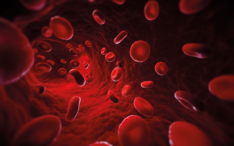 New blood group that solves a 50-year-old mystery | Biomedical Scientist