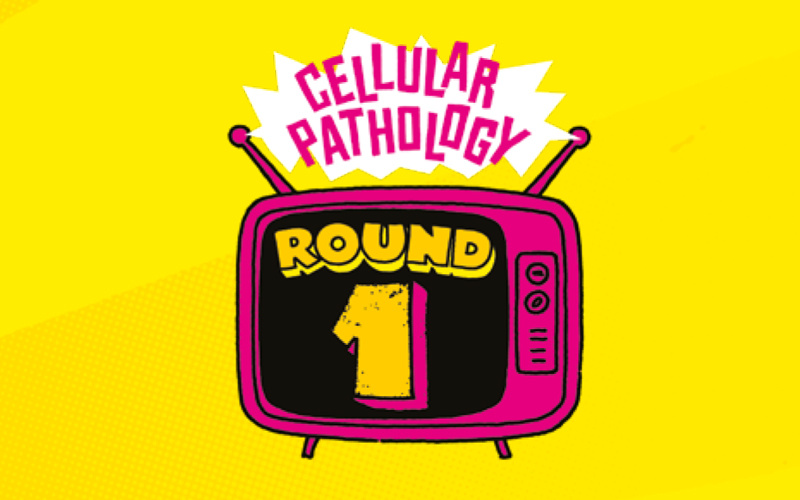 The great big biomedical scientist quiz 2025 (scroll to the end
